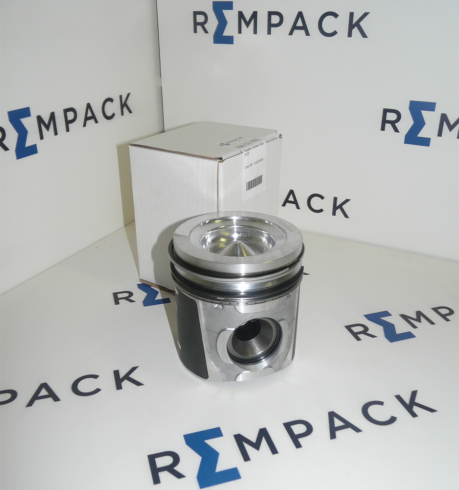 Поршень комплект Rempack 106 02 001 (500055469)  Поршень 500055469 Rempack 106 02 001 